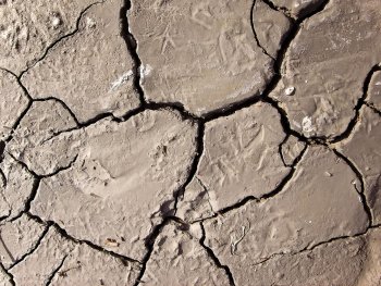 Addressing Common (EEEs) Deficiencies in Property Management